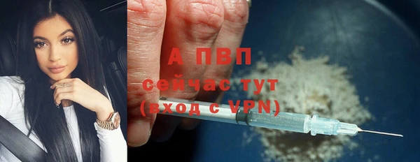 сатива Белокуриха